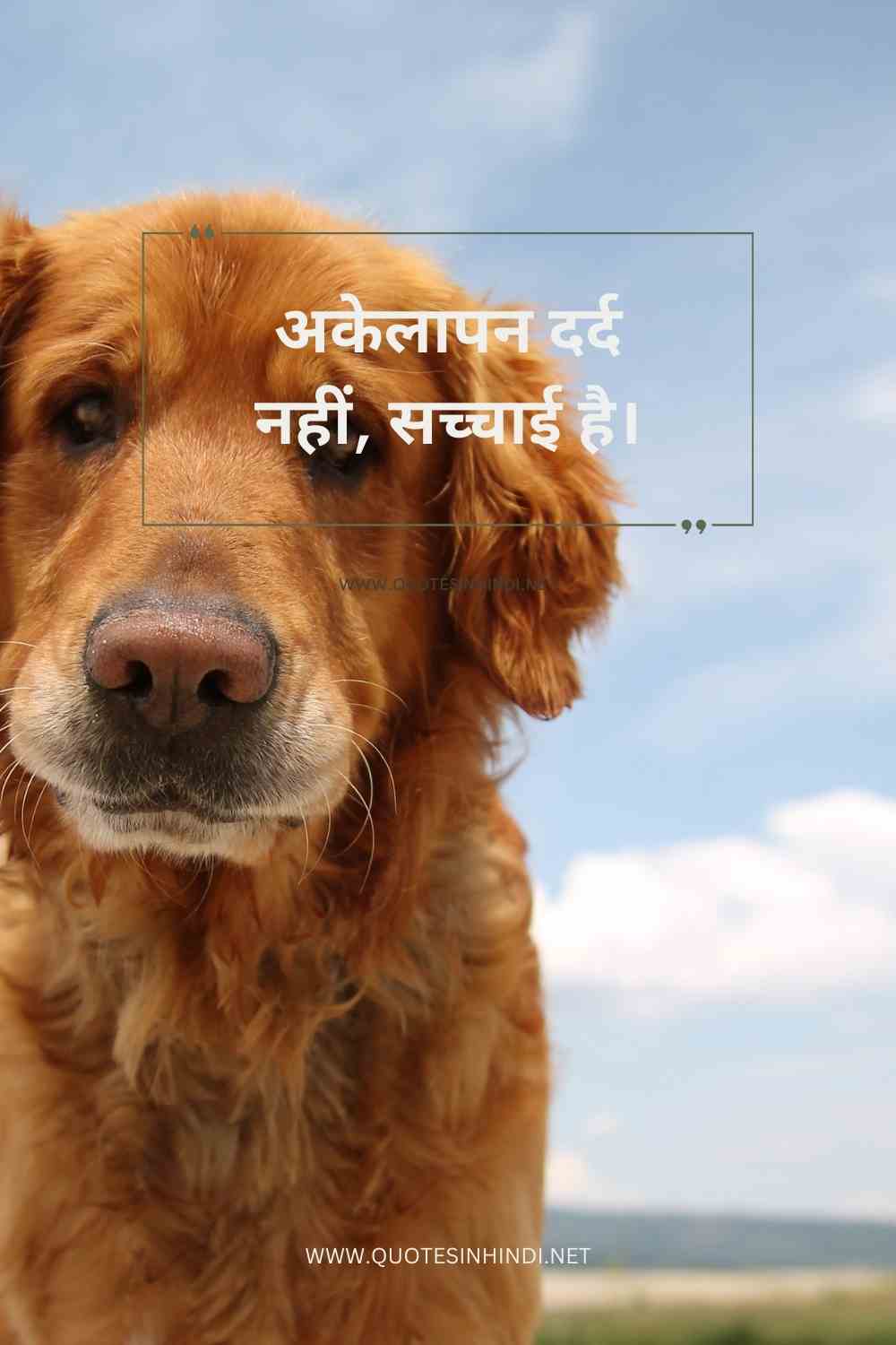 100 Alone Sad Quotes In Hindi Alone Sad Quotes In Hindi 1 17