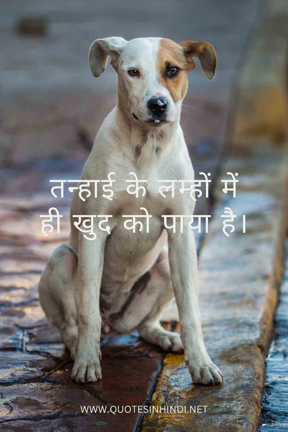 100 Alone Sad Quotes In Hindi Alone Sad Quotes In Hindi 1 19