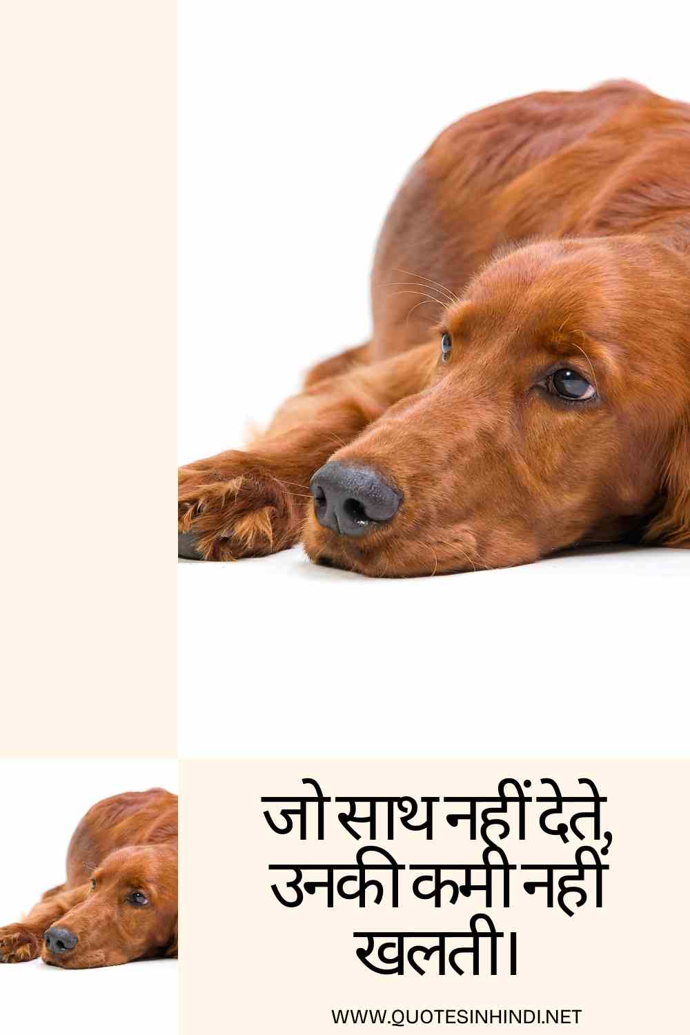 100 Alone Sad Quotes In Hindi Alone Sad Quotes In Hindi 1 24